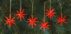 Christbaumschmuck, rot - kleine Weihnachtssterne, 6-teilig