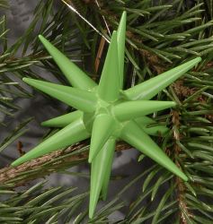 Christbaumschmuck, hellgrn - kleine Weihnachtssterne, 6-teilig